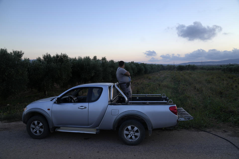 Konstantinos Markou, an olive grower, patrols his own grove, in Peania suburb, east of Athens, Greece, Tuesday, Oct. 31, 2023. Across the Mediterranean, warm winters, massive floods, and forest fires are hurting a tradition that has thrived for centuries. Olive oil production has been hammered by the effects of climate change, causing a surge in prices for southern Europe's healthy staple. (AP Photo/Thanassis Stavrakis)