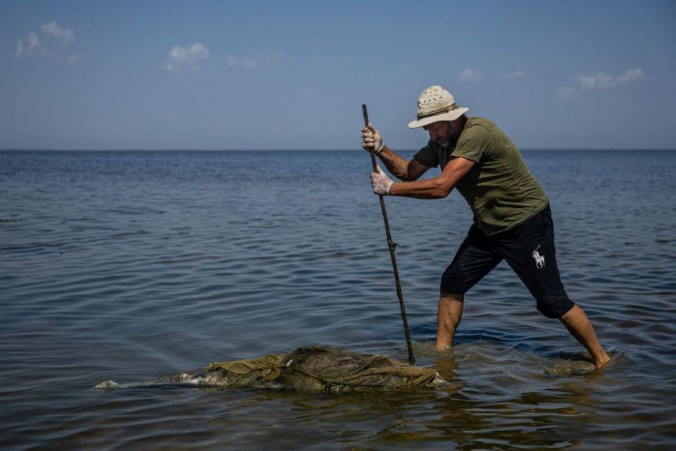 A scientist examines a dead dolphin at the Tuzly Lagoons National Nature Park amid Russia's war against Ukraine in Odesa Oblast, Ukraine, on Aug. 28, 2022. (Dimitar Dilkoff/AFP via Getty Images)