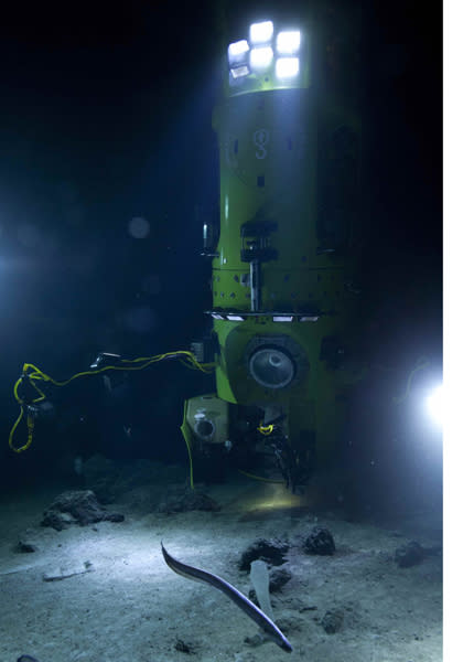 Filmmaker Cameron Expedition Finds Weird Deep-Sea Life