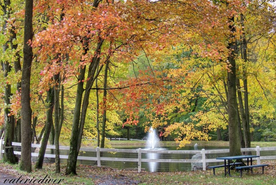 Carousel Park in Pike Creek