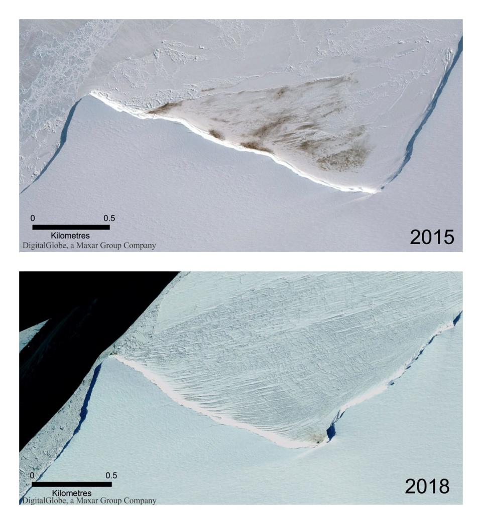 This combination of satellite photos provided by Maxar Technologies via the British Antarctic Survey compares Halley Bay penguin colony in 2015 and 2018.(AP)