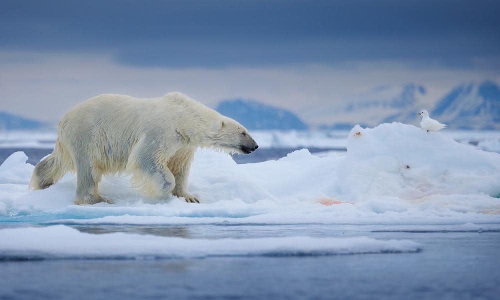 <span>Photograph: Chase Dekker/Getty Images</span>