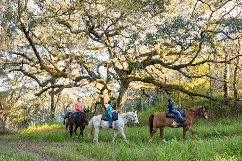 Ocala Horseback Riding