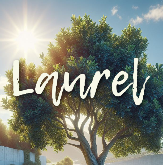 Laurel