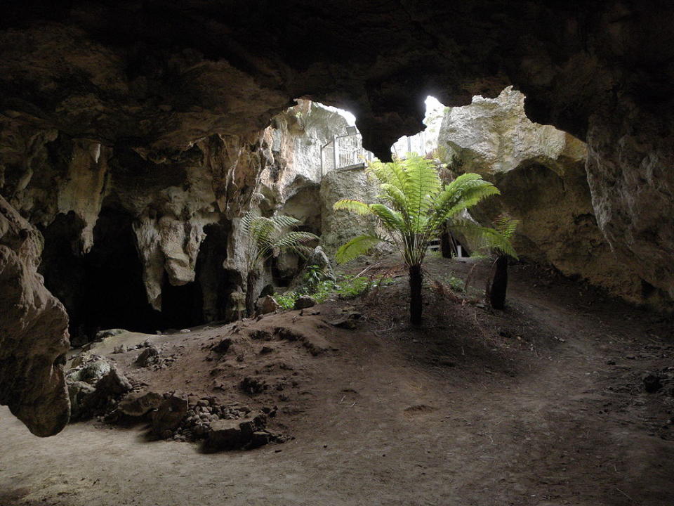納拉寇特洞穴 (Photo by Feral Arts, License: CC BY 2.0, Wikimedia Commons提供, 圖片來源www.flickr.com/photos/35080419@N04/3545462598)