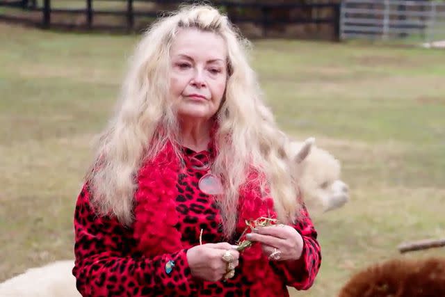 <p>TLC</p> Miss Debbie visited some alpacas for advice on starting her own pet sanctuary.