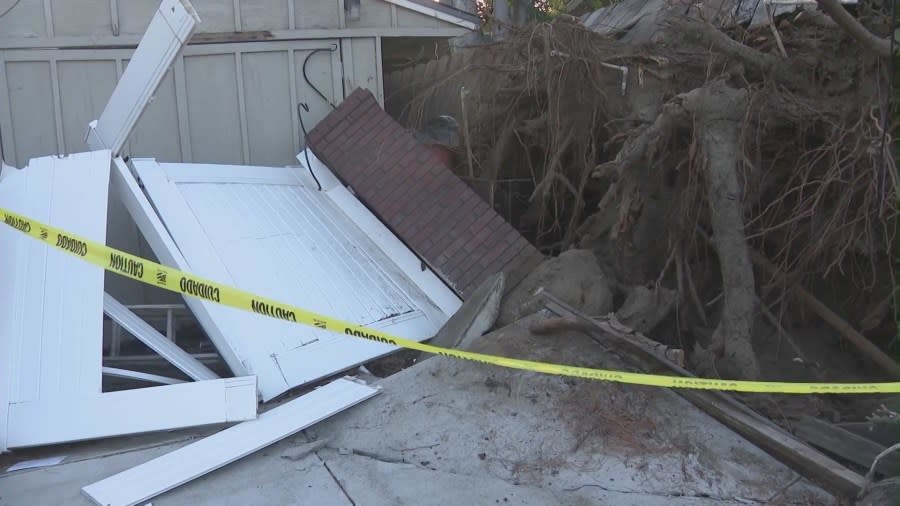 The toppling of a large pine tree left a trail of destruction in Monrovia on May 8, 2024. (KTLA)