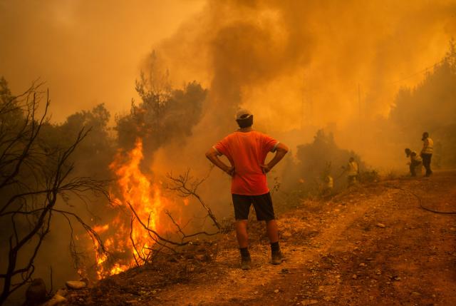 Wildfires raging in Europe: What, where and why?, Explainer News