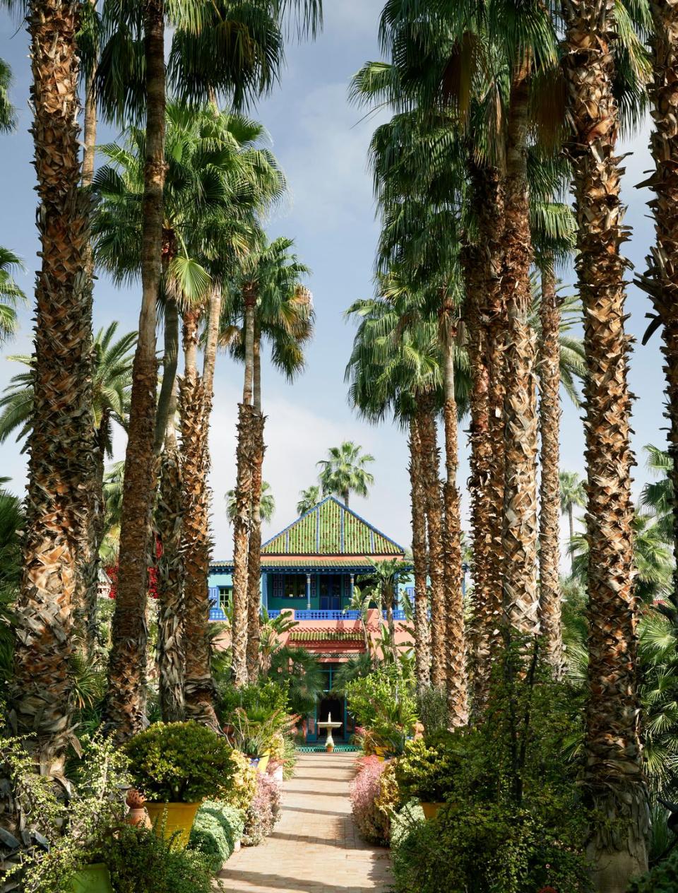 the path leading to jardin majorelle