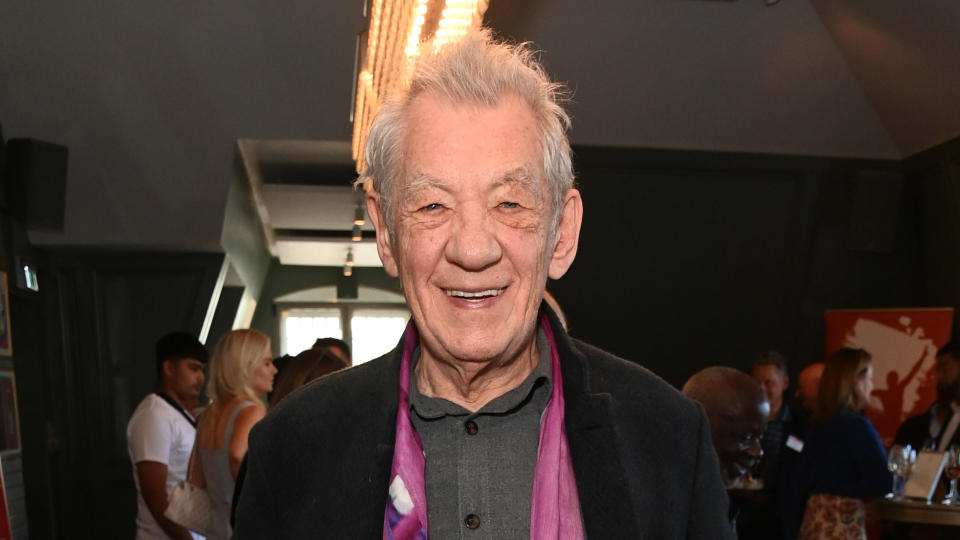 Sir Ian McKellen reflected on how Pride has changed since he first came out publicly in the 1980s. (Getty)