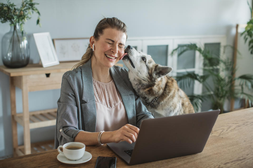 Women at home during pandemic isolation have conference  call, pet dog is with her