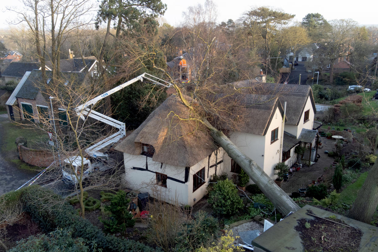 A tree which has fallen onto the 17th century thatched cottage of Gowan and Barbara Wharrier in Ashby de la Zouch, Leicestershire after heavy winds. Britons have been warned to brace for strengthening winds and lashing rain as Storm Franklin moved in overnight, just days after Storm Eunice destroyed buildings and left 1.4 million homes without power. Picture date: Monday February 21, 2022.