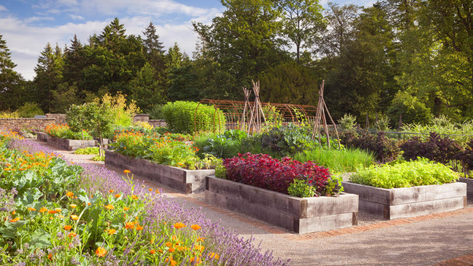 These raised garden bed ideas are all you need for a spot of grow-your-own action, from garden sleepers and colorful looks to woven styles plus more