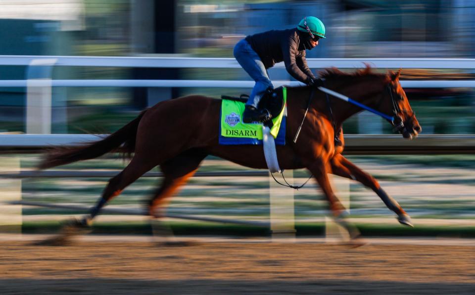 Kentucky Derby contender Disarm works out at Churchill Downs on Monday morning, April 24, 2023 in Louisville, Ky. The colt is trained by Steve Asmussen.