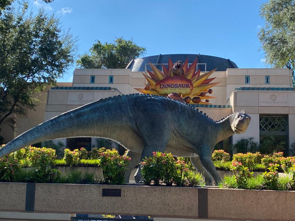 exterior shot of dinosaur ride at disney animal kingdom