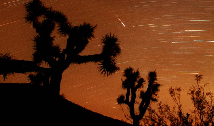 Leonid Meteor Shower 2015: How to Watch Incredible Event This Week