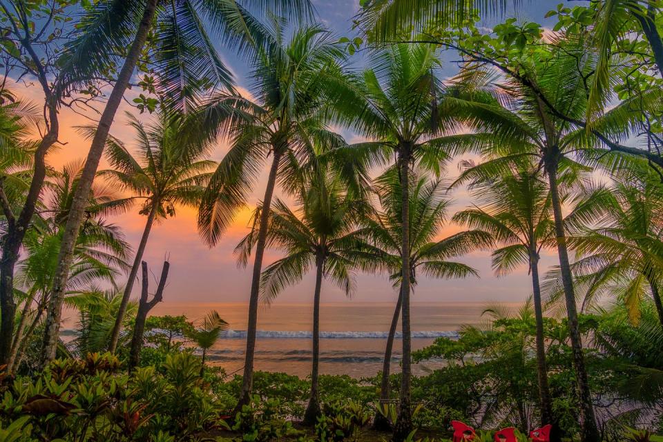 Corcovado National Park, Costa Rica