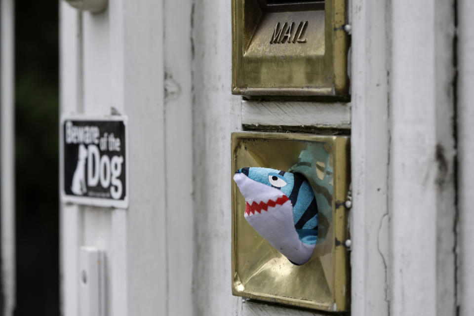 In this Sunday, March 29, 2020, photo, a soft toy is placed in a letterbox at a house in Christchurch, New Zealand. New Zealanders are embracing an international movement in which people are placing teddy bears in their windows during coronavirus lockdowns to brighten the mood and give children a game to play by spotting the bears in their neighborhoods. (AP Photo/Mark Baker)