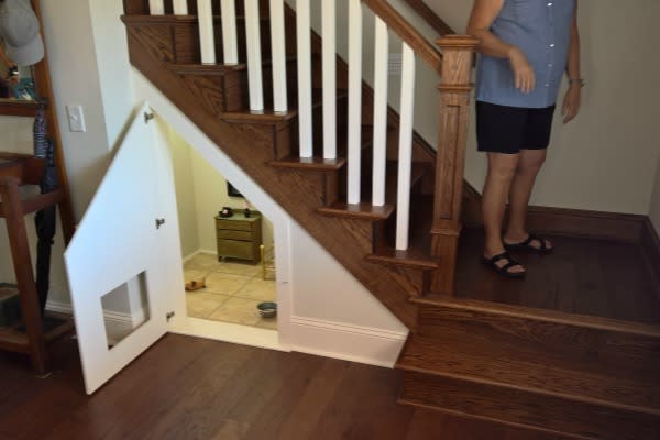 primero idiota Remo El Harry Potter de los perros! A esta mascota le construyeron un dormitorio  bajo las escaleras