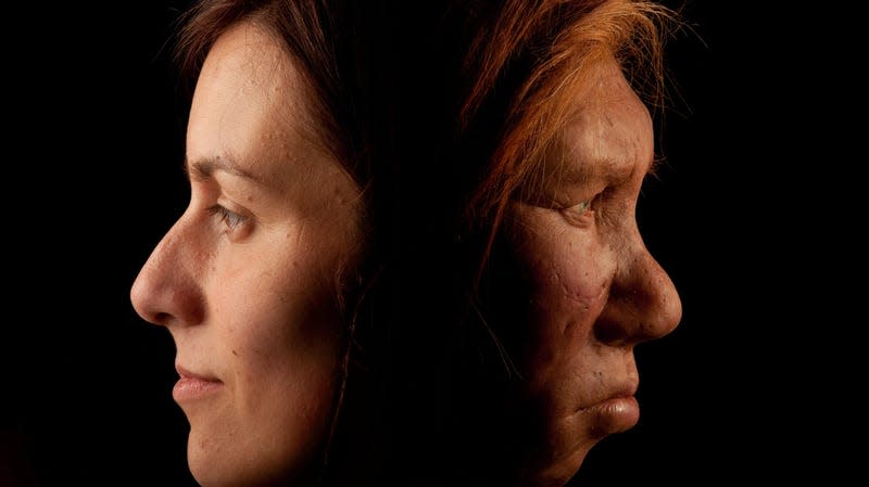A reconstruction of a Neanderthal woman (right) and a modern human (left). - Photo: Joe McNally (Getty Images)