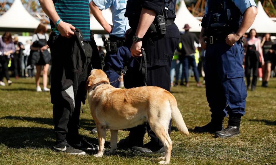 <span>Photograph: Mark Metcalfe/Getty Images</span>