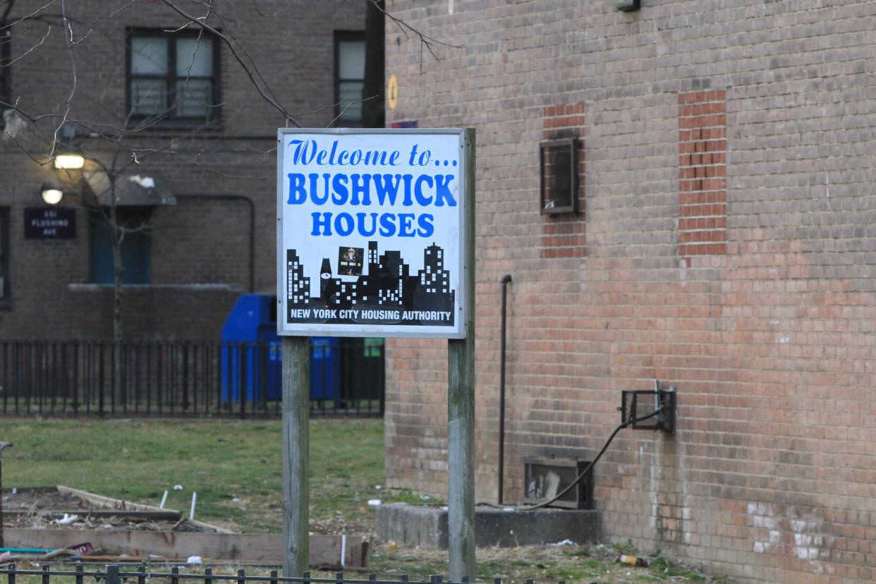 A doorknock sweep of two of the nine buildings at Bushwick/Hylan Houses found more than 100 units with water damage and mold, according to the letter to the New York City Housing Authority, which runs the development. 