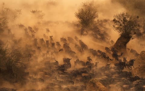 'Kenya offers mountains, tropical forests, deep valleys, savannah plains and an incredible amount of wildlife' - Credit: greg dutoit