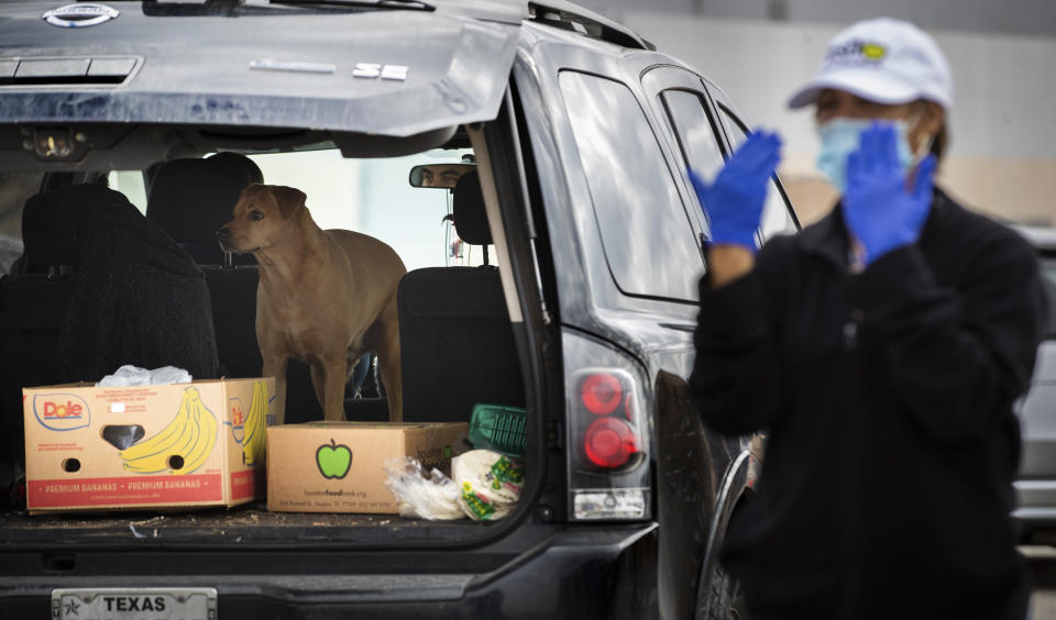 A dog looks around as the car of the owner is carrying supplies provided by the Houston Food Bank during a food distribution event, Sunday, Feb. 21, 2021, in Houston. (Marie D. De Jesús/Houston Chronicle via AP)
