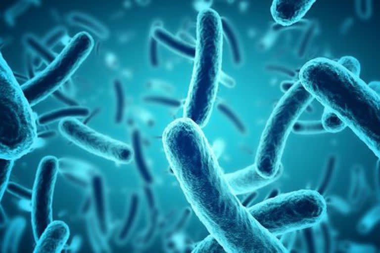 Entre el 60% y el 100% de las bacterias en las muestras estaban vivas.