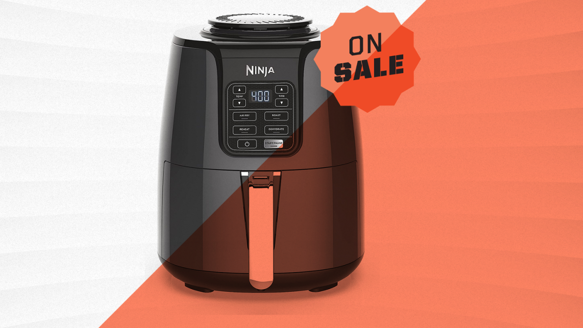 s Bestselling Ninja Air Fryer Is 42% Off Today