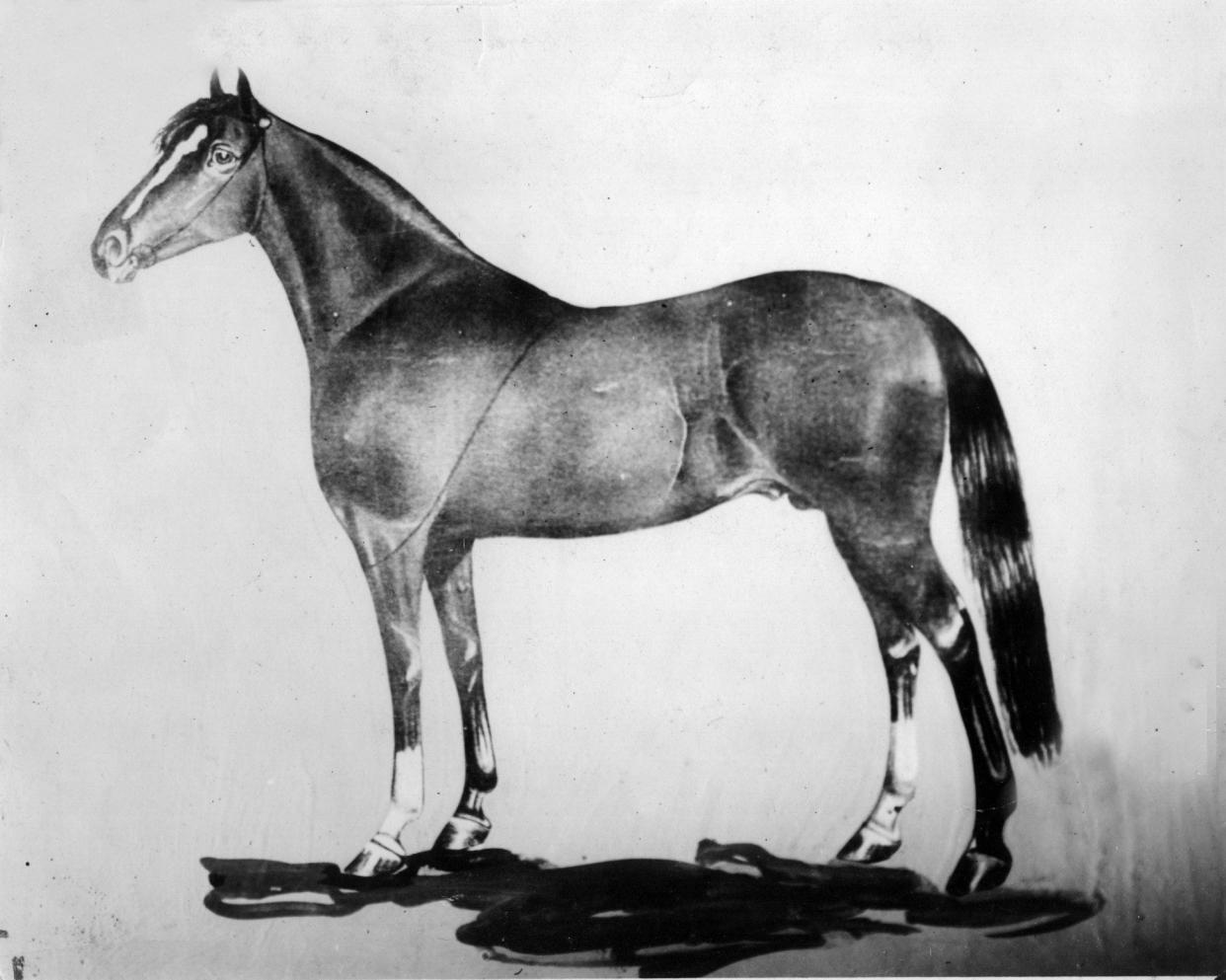 Aristides wins the first Kentucky Derby, at the new Louisville Jockey Club, covering the 1 1/2- mile course in 2:37 3/4 to defeat 14 competitors. The track (later called Churchill Downs) is a creation of Meriwether Lewis Clark, a grandson of explorer  William Clark of the Lewis & Clark Expedition. A crowd of 10,000 watches the first Derby, which now draws more than 125,000 people each year.