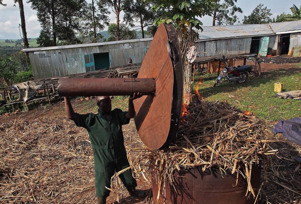 <div class="inline-image__caption"><p>A worker slow burns sugar cane waste, part of the process in making biochar, at the Eco Fuel Africa factory in Lugazi.</p></div> <div class="inline-image__credit">Michele Sibiloni/AFP via Getty Images</div>