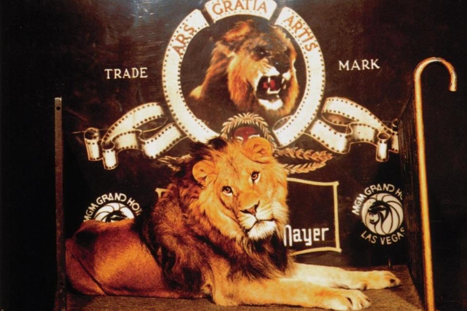 Wer kennt nicht den legendären brüllenden Löwen? Der ist bereits seit den 20er-Jahren im Einsatz. Insgesamt hat Metro Goldwyn Mayer sieben Löwen gefilmt, um ihren Kopf durch den Ring zu stecken. Das Tier, das heute noch zu sehen ist, wurde seit 1957 nicht gewechselt, sondern lediglich digital bearbeitet.