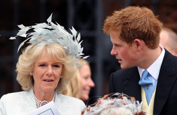 Camilla and Prince Harry<p>Anwar Hussein/WireImage</p>