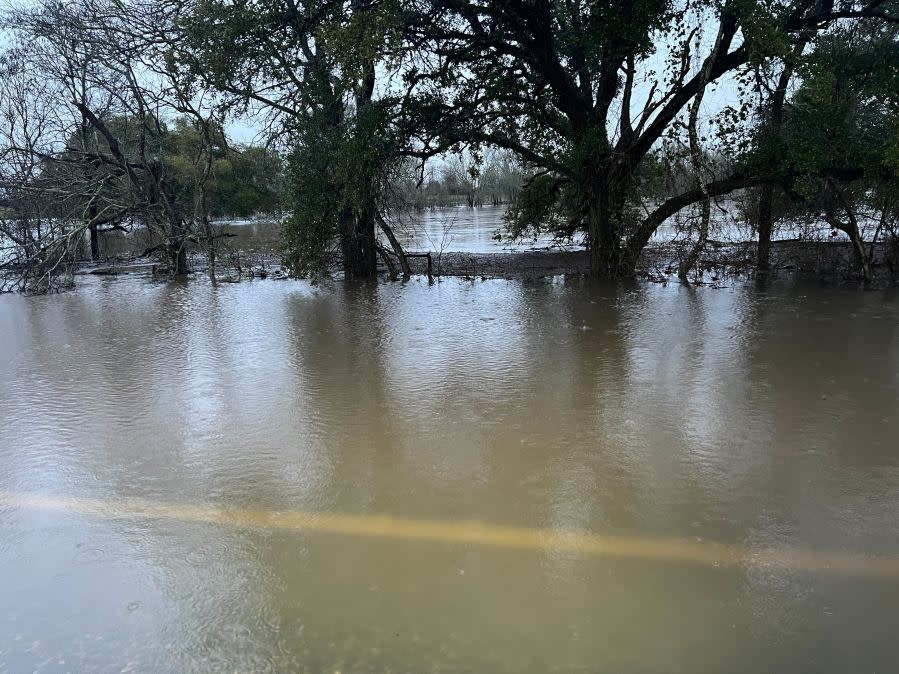 Flooding along FM 155 in Fayette County Wednesday, Jan. 24, 2024. (KXAN Photo/Todd Bailey)