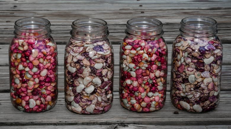 Purple beans in four glass jars