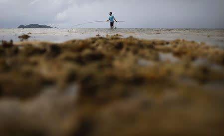 A boy fishes near the shore on the east coast of Natuna Besar July 7, 2014. REUTERS/Tim Wimborne