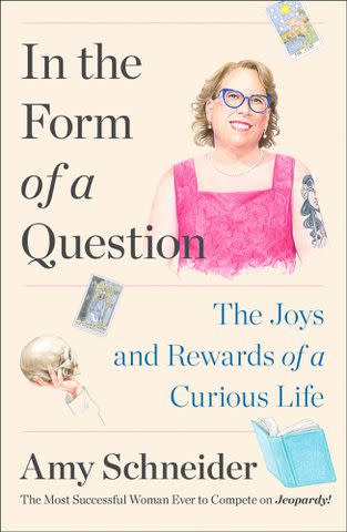 'In the Form of a Question' by Amy Schneider