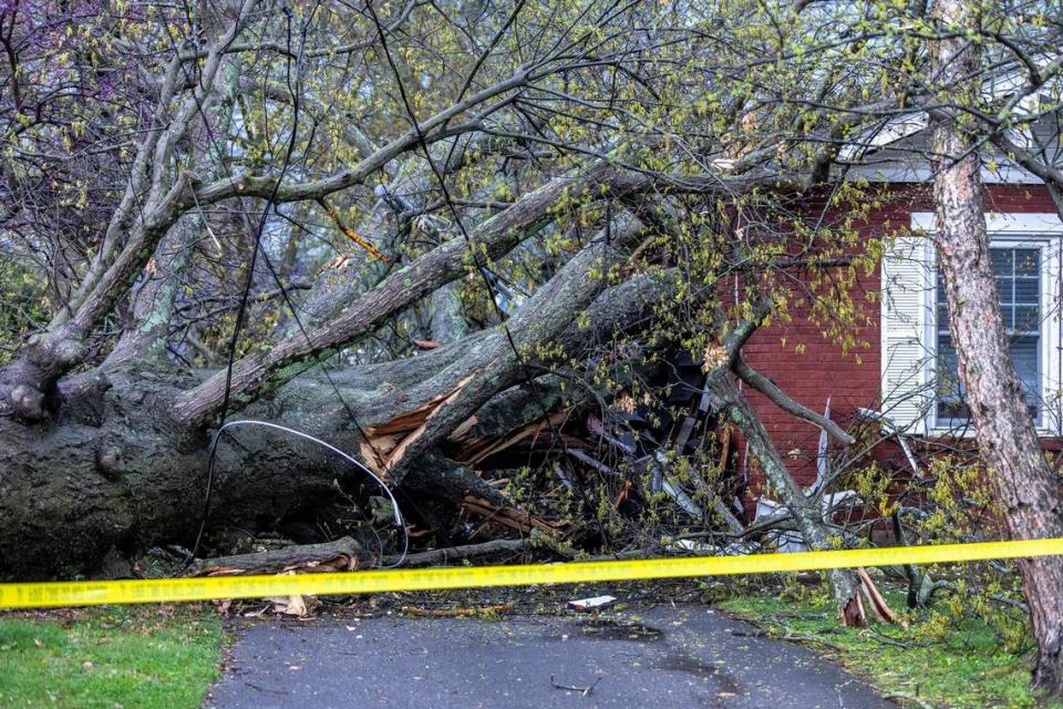 A tree fell on a house on Melrose Avenue during a storm in Lexington, Ky., on Tuesday, April 2, 2024. A woman was sent to a hospital after a tree fell on her home on the 800 block of Melrose Avenue, according to the Lexington Fire Department.