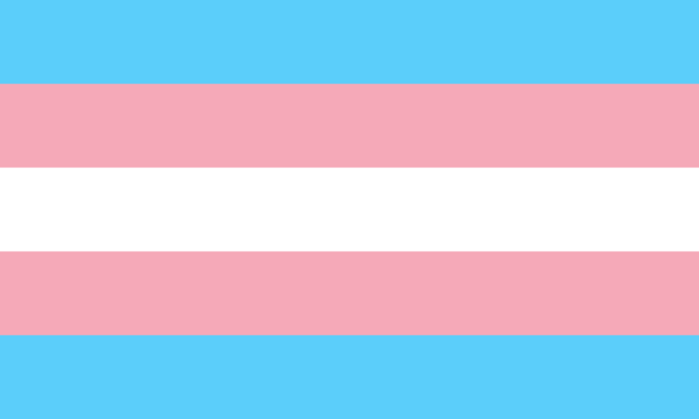 跨性別驕傲旗。