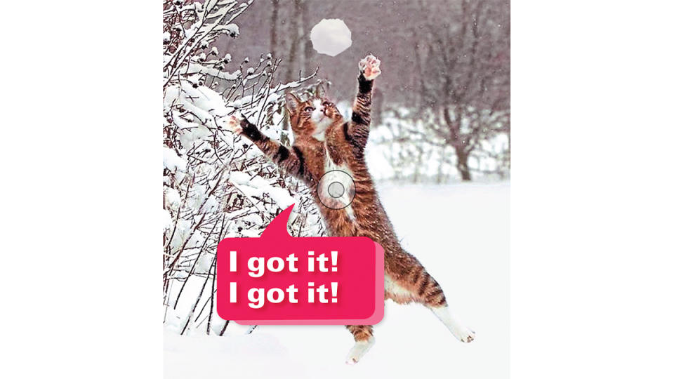 Funny photos: Cat catching snowball with caption, 