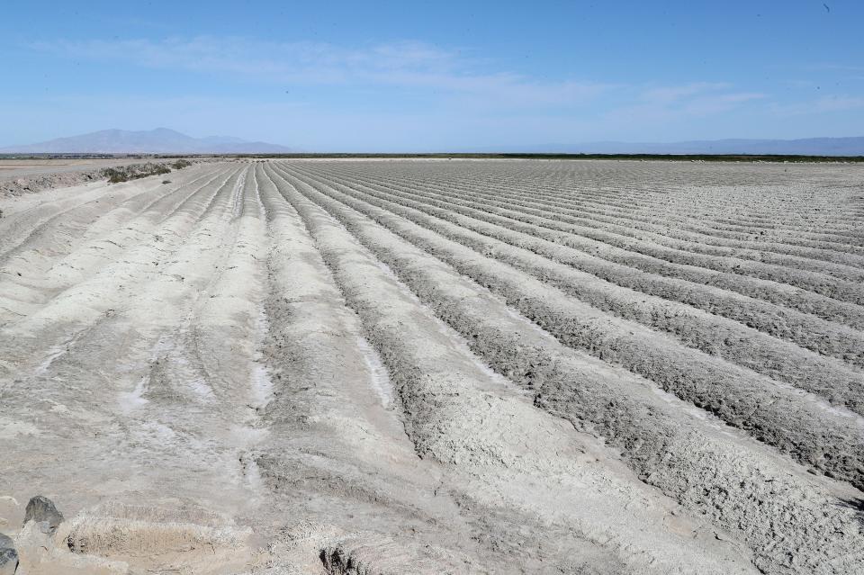 Acres of trenches have been created to help control the dust on this land that at one time was covered by the Salton  Sea's water.  This area is on the sea's south end in 2019.