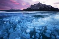 <p>Ice bubbles (formally, methane bubbles) at Abraham Lake with Mount Michener in the background, Alberta, Canada.</p>