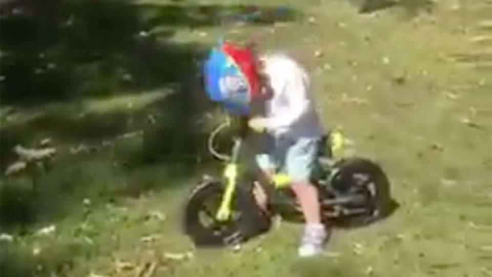 The little cutie just bows his head down while the bird swoops over him. Source: 7 News