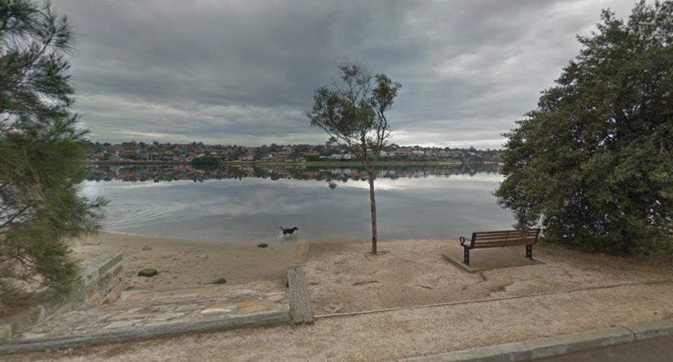The shark was spotted near the popular dog spot. Source: Google Maps