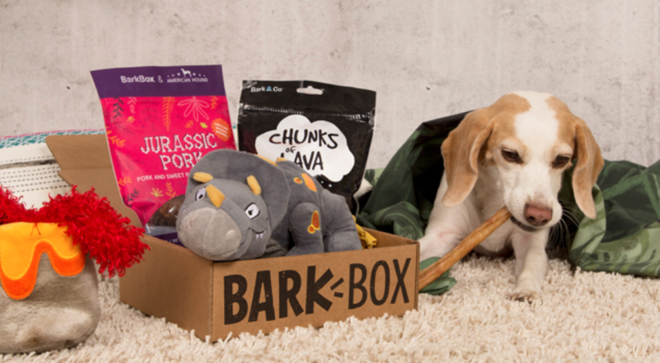 Mail for you, Fido!  (Photo: Barkbox)