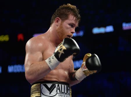 Sep 15, 2018; Las Vegas, NV, USA; Canelo Alvarez boxes against Gennady Golovkin (not pictured) in the middleweight world championship boxing match at T-Mobile Arena. Alvarez won via majority decision. Mandatory Credit: Joe Camporeale-USA TODAY Sports