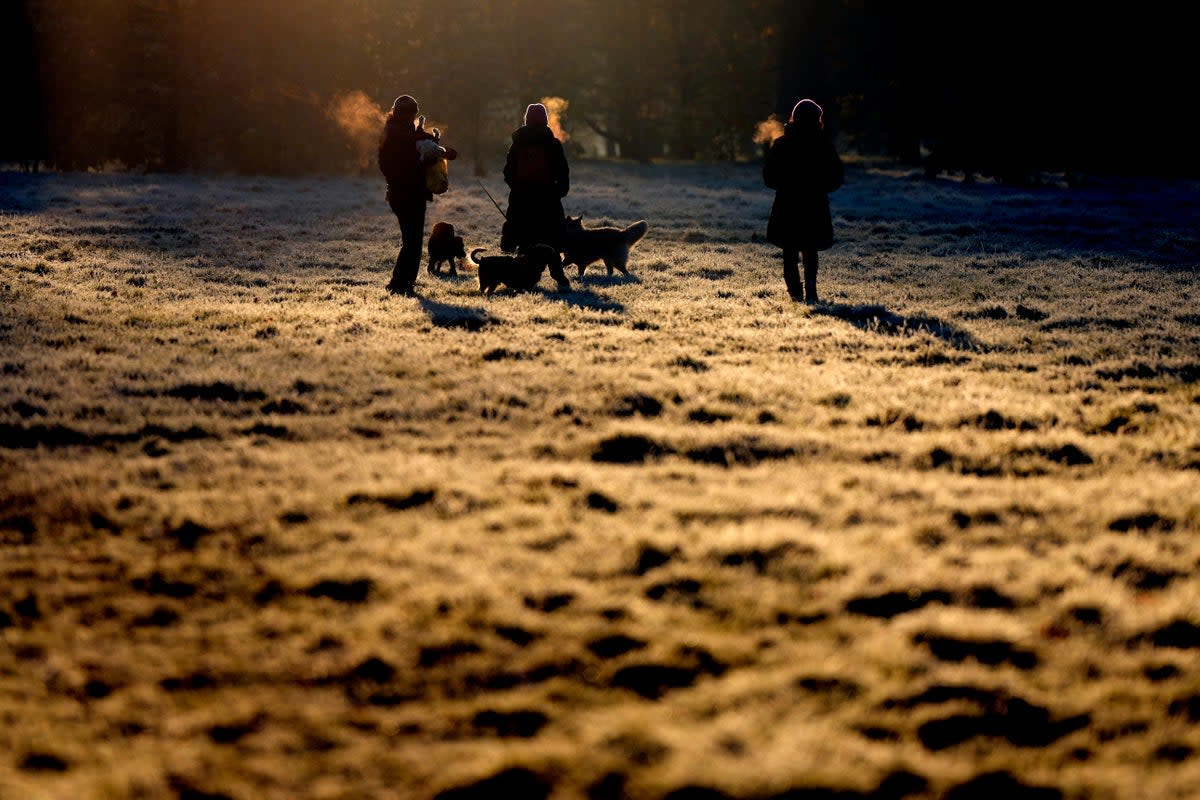 Dog walkers in London’s Hyde Park after an overnight sharp frost (AP)