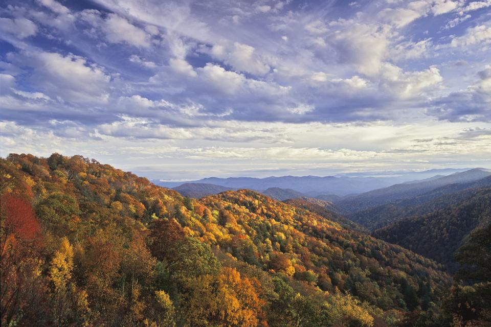 Tennessee: Great Smoky Mountains National Park