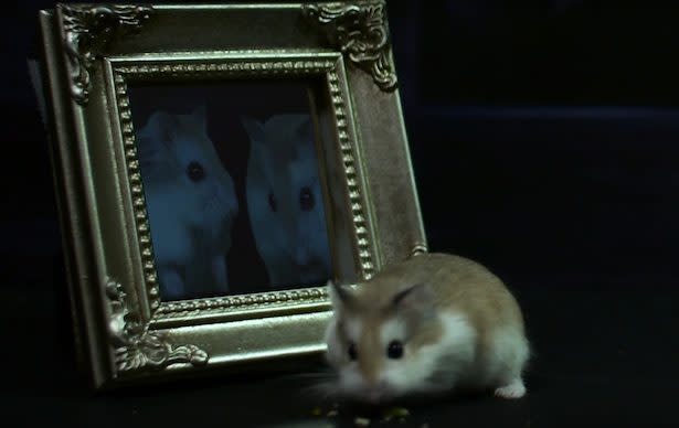 It is now time to watch “Harry Potter” re-enacted with hamsters (complete with tiny Hogwarts)
